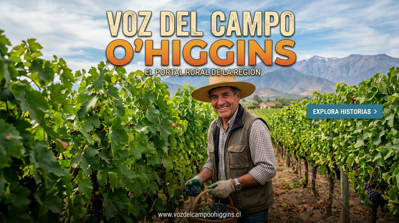 Smiling farmer holding a basket of grapes in a vineyard with mountains in the background